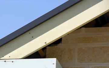 White Ness fascia repairs