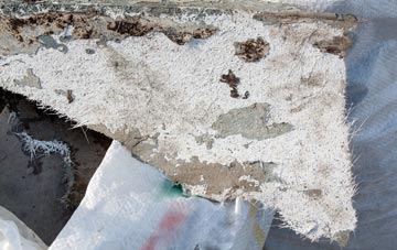 fibreglass roof repair White Ness, Shetland Islands
