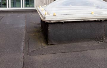 disadvantages of White Ness flat roofs