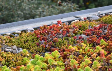 the cost of White Ness green roof installation