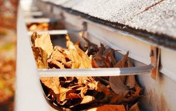 White Ness gutter cleaning companies