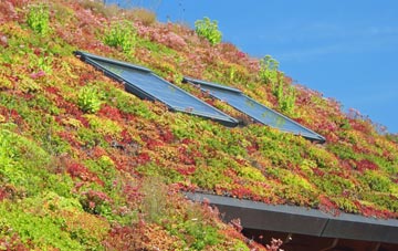 White Ness living roof systems