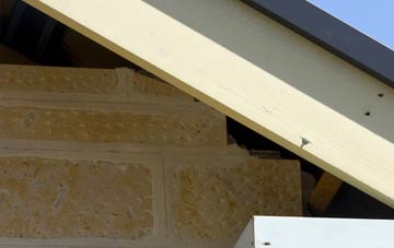 soffit repair White Ness
