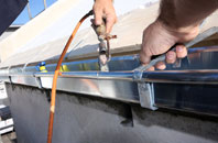 free White Ness fascia quotes