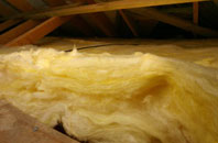 White Ness pitch roof insulation