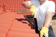White Ness roof cleaners