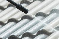 rated White Ness roof cleaning companies