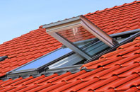 White Ness roof window