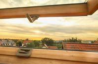 rated White Ness roof window companies