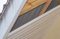 rated White Ness soffit repair companies